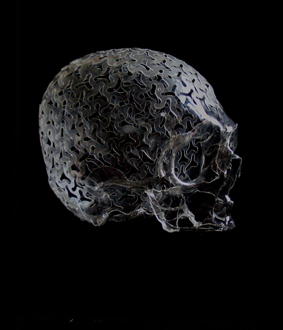 Brain skull Serie des Vanitiques sculpture PET caisson 34 x 34 x 34cm 2